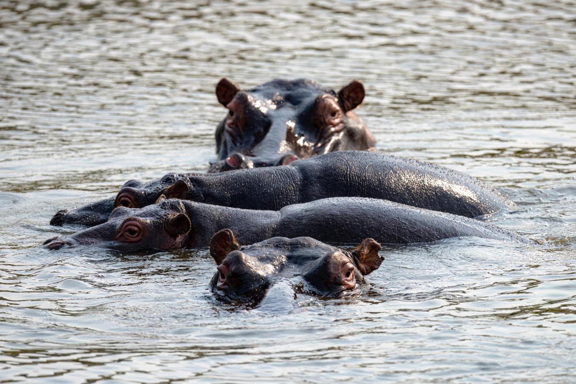 Valley Lodge - Babanango Game Reserve Dundee Ngoại thất bức ảnh